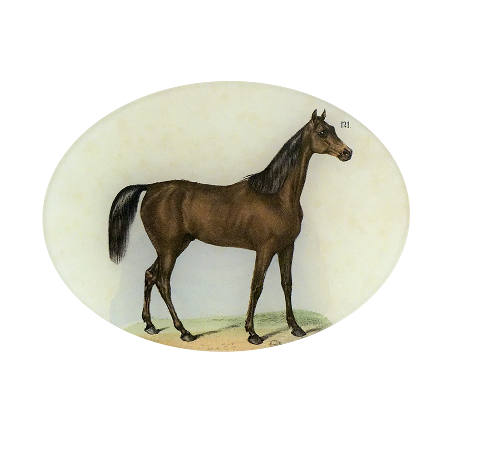Horse #121 (Oval)