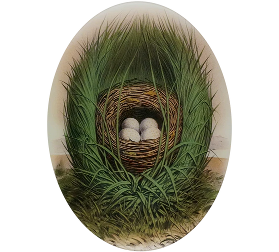 Towhee Bunting Oval Tray