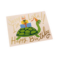 Turtle Belated Birthday Card