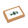 Evergreen Watercolor - Boxed Set of 6 Cards