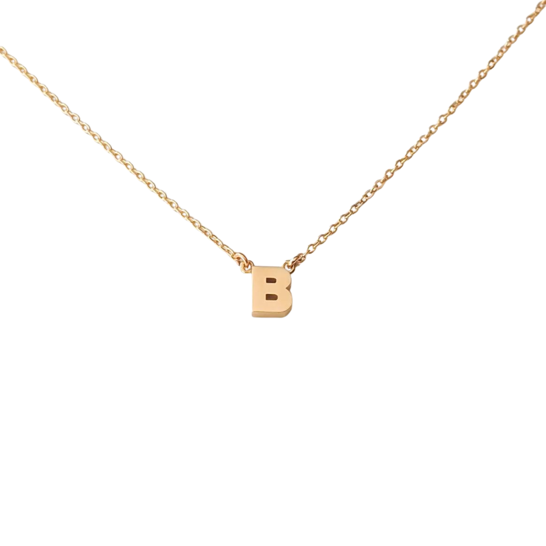 Custom 14k Gold Initial Necklace – Phoenix Roze