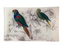 Two Parakeets Rectangle Tray