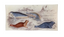 Seals Pencil Tray