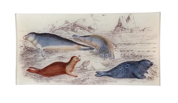 Seals Pencil Tray