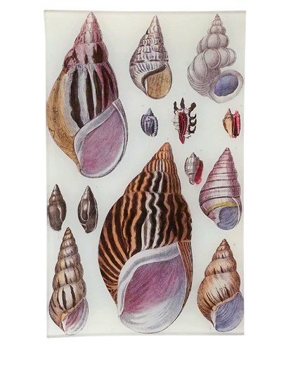 Agate Shells Rect. Tray