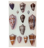 Sea Shells Rectangle Tray