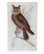 Owl Rectangle Tray