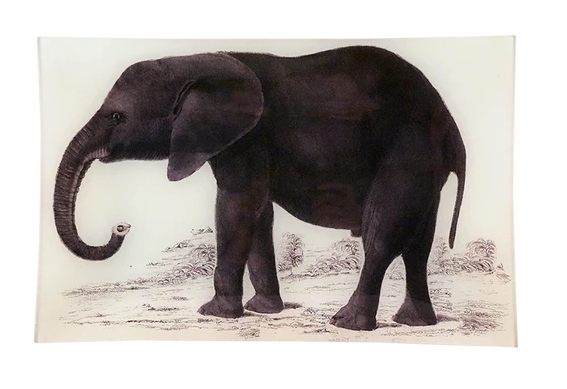 Elephant Letter Tray