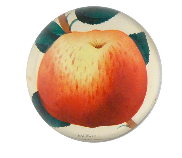 Baldwin Apple Dome Paperweight