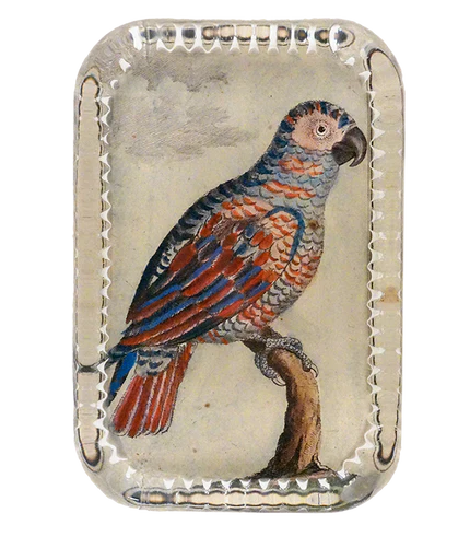 Parrot #9 Rect. Paperweight