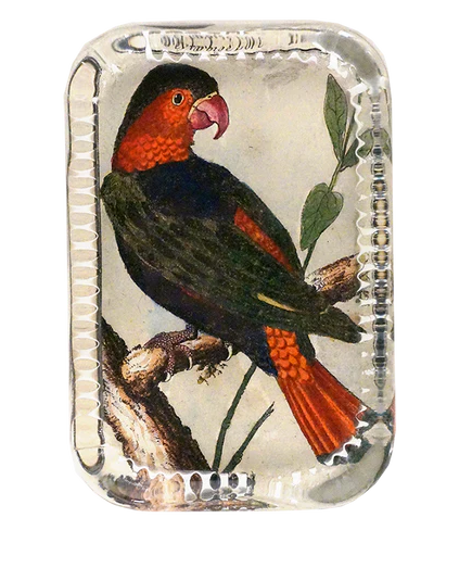 Parrot #11 Rect. Paperweight