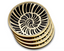 Shell Coaster Set (4)