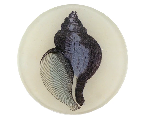 Purple Shell 4" Round Tray