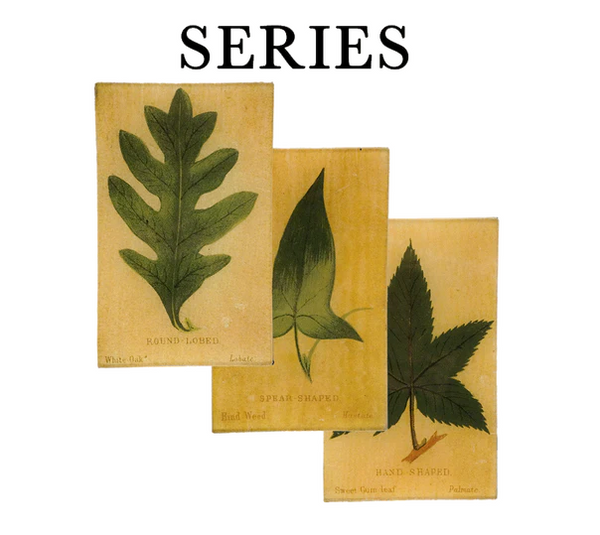 Leaf Shape c.1900 5x8" Tray