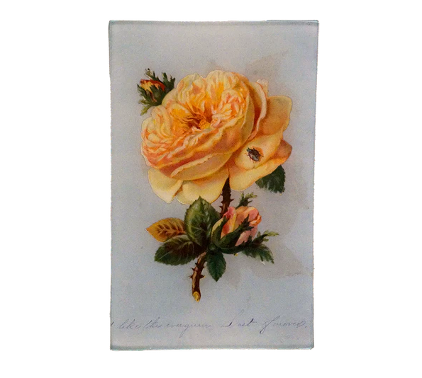 Yellow Rose 5x8" Tray