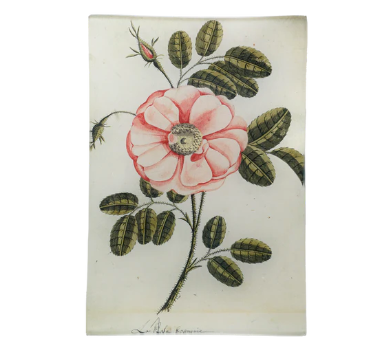 Painted Rose 6x9" Tray