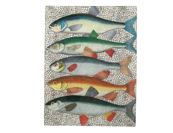 Some Fish 8x10.5" Tray