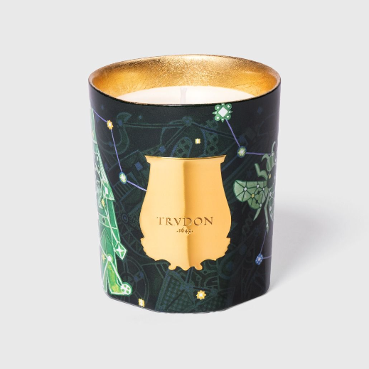 Fir Classic Candle | Enchanted Night