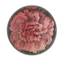 Choice Pink Rose Dome Paperweight