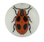 Big Dot Ladybug Dome Paperweight