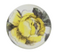 Bright Yellow Rose Dome Paperweight