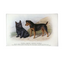 Scotch Terrier & Welsh Terrier 5x8" Tray