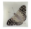 Butterfly F (Beige) 6" Un Vide Poche