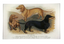3 Dachshunds 5x8" Tray