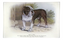Bull Dog 5x8" Tray