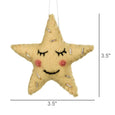 Star Ornament, Felt