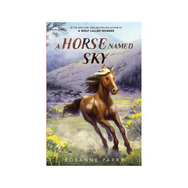 A Horse Named Sky