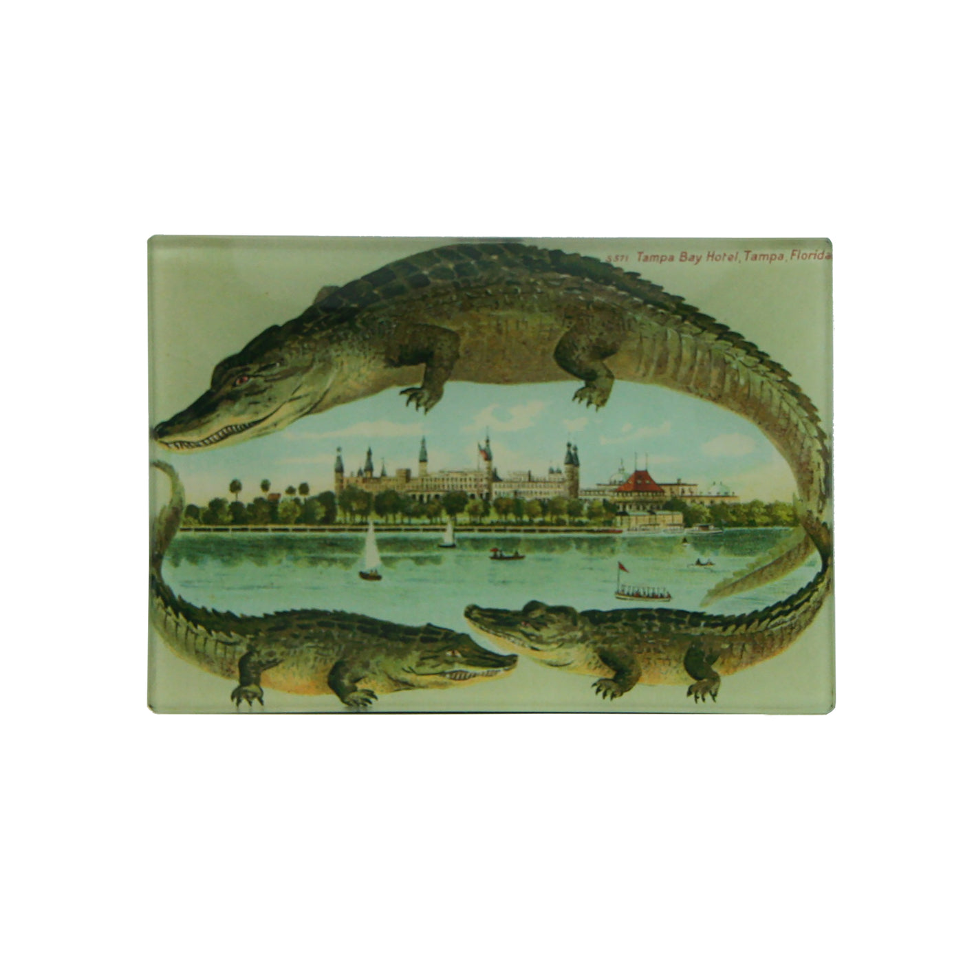 Tampa Bay Hotel Postcard Tray