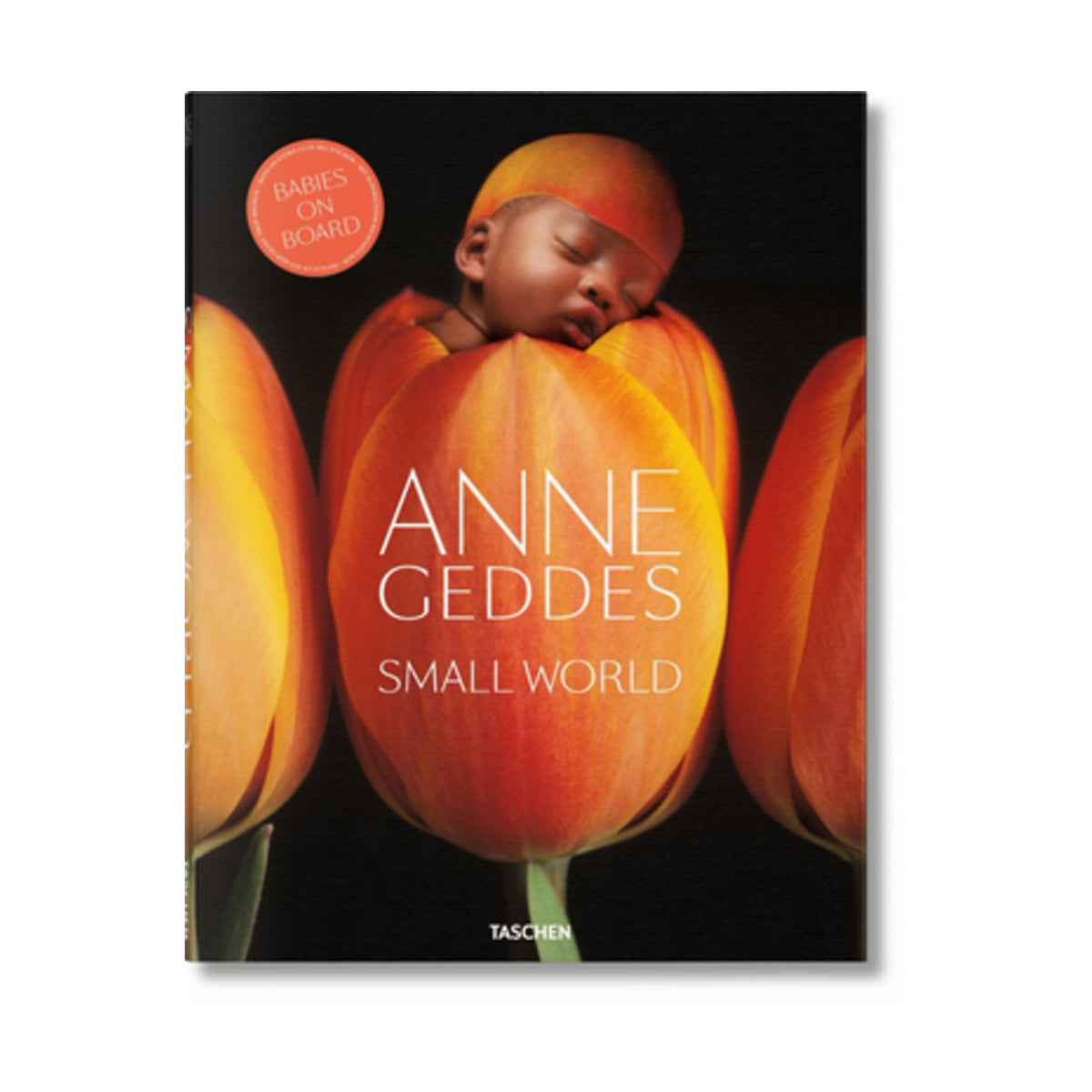 Anne Geddes: Small World