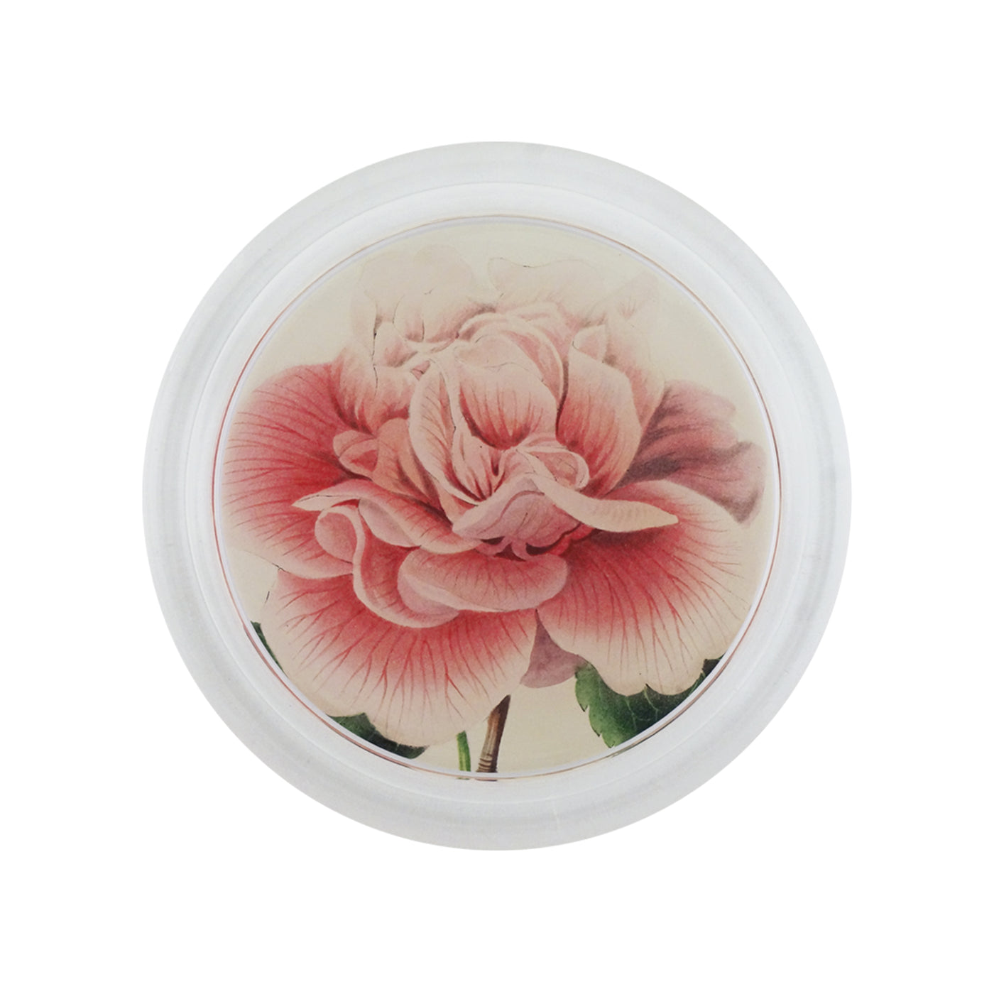 Camellia Blossom #1 Coaster