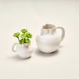 Coco Pitcher Blanc - Small