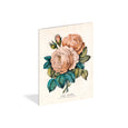 John Derian Everything Roses Notebooks