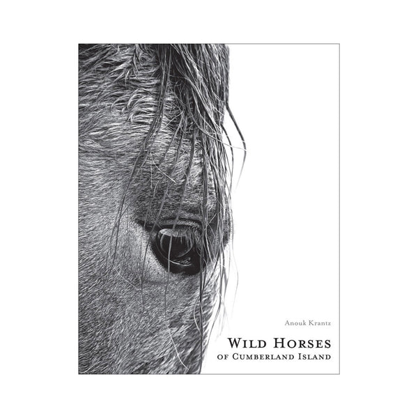 Wild Horses of Cumberland Island - Signed